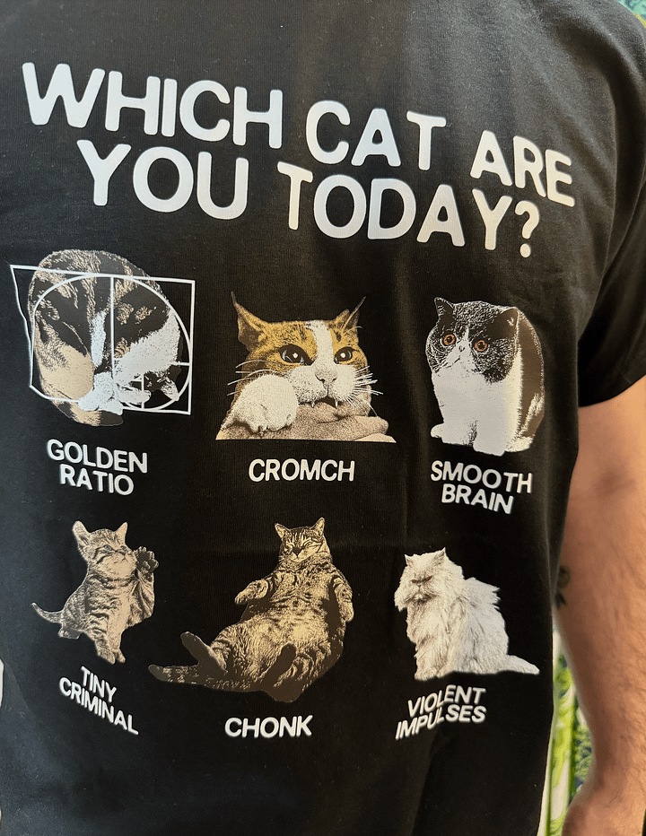 Which cat are you unisex tee product image (1)