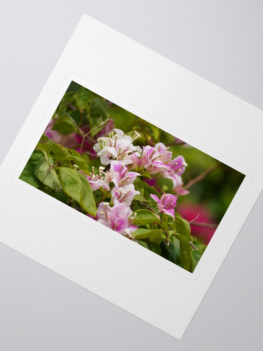 Blossom Borders Kiss Cut Stickers product image (2)