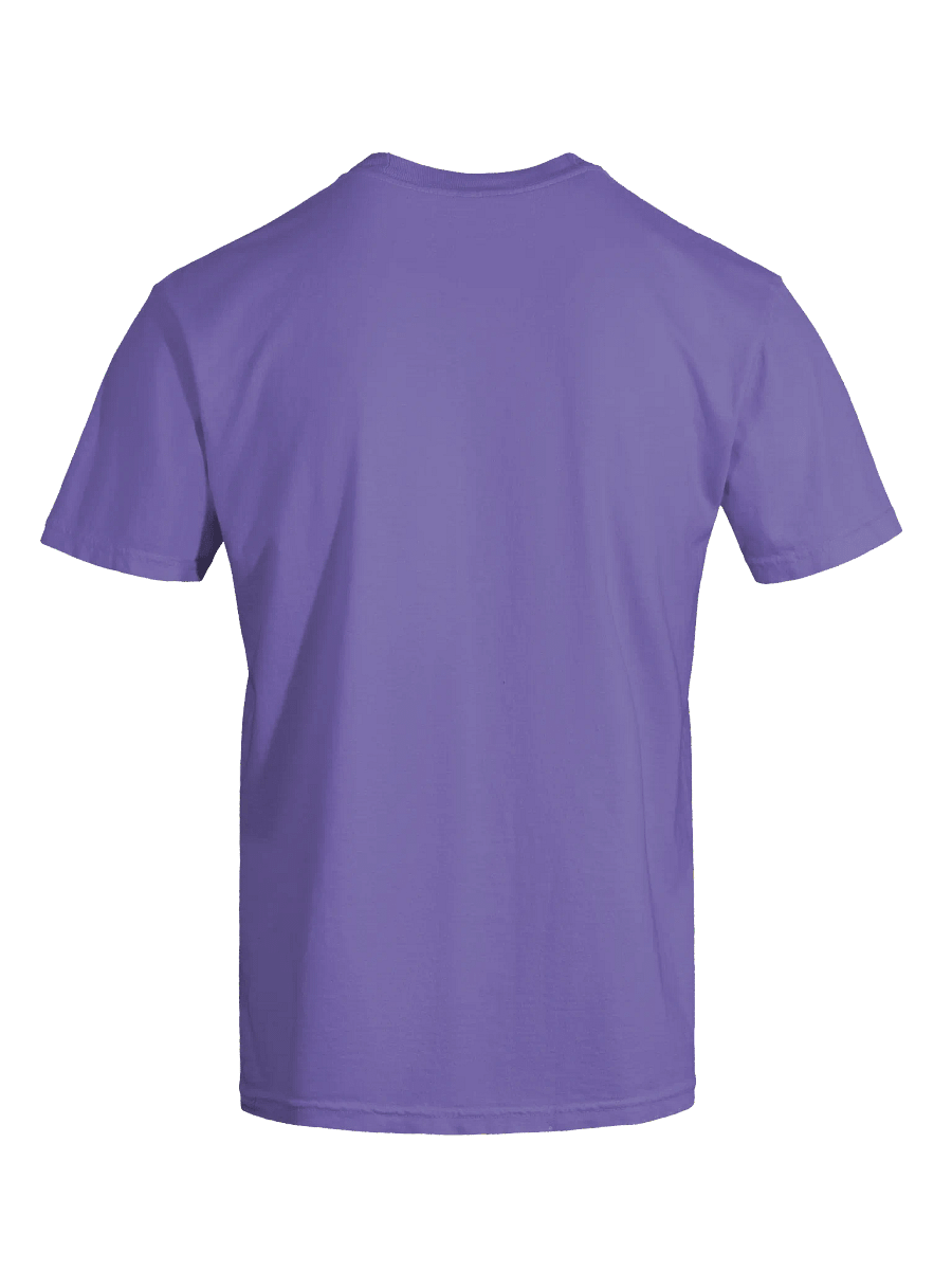 Comfort Colors Pride T-shirt product image (9)