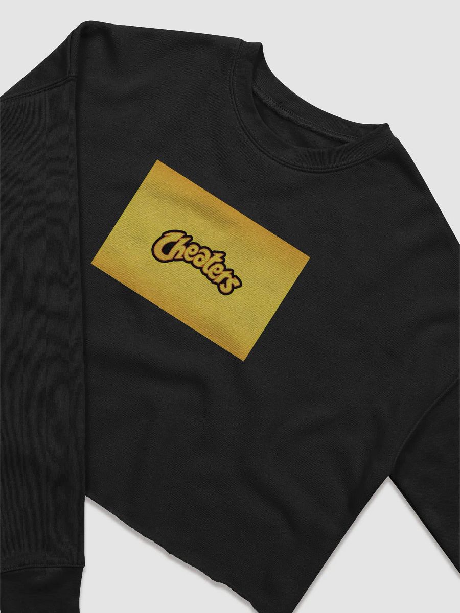 Cheaters Fleece Crop Sweatshirt product image (12)