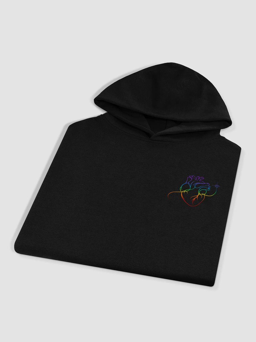 Take Pride Hoodie product image (4)