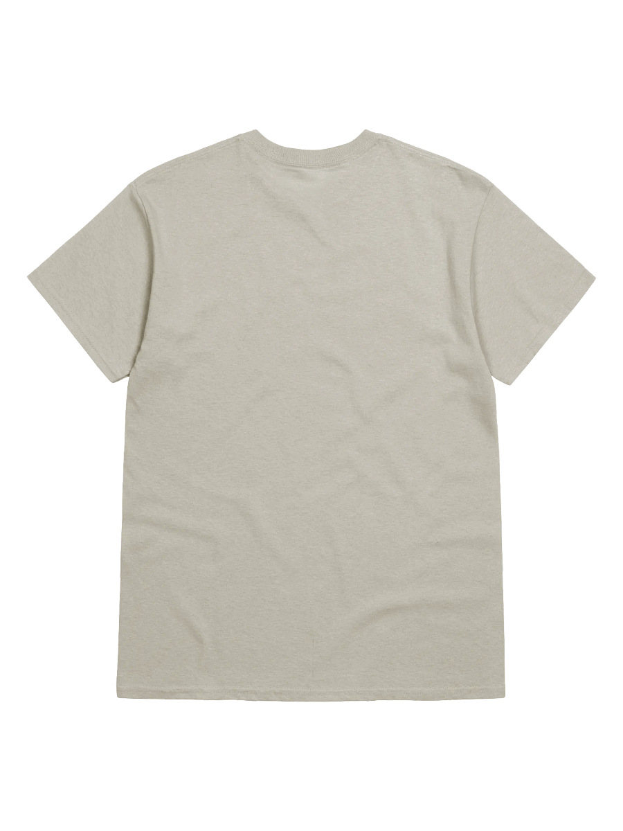 Bitcoin Moon T-Shirt, Crypto Gift for Traders, To the Moon Tee product image (22)