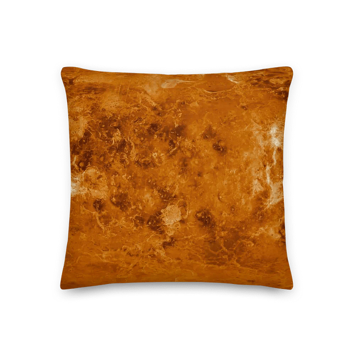 Venus Pillow! product image (3)