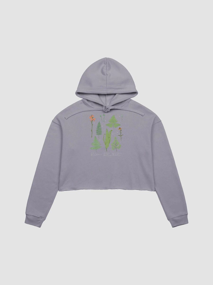 It's Fern Time Babyyyy Crop Hoodie product image (1)
