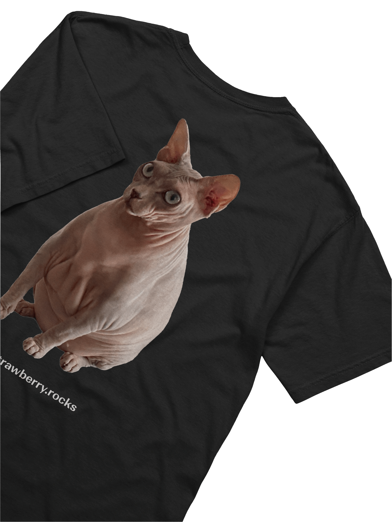 Thiago's cat judging your code product image (6)