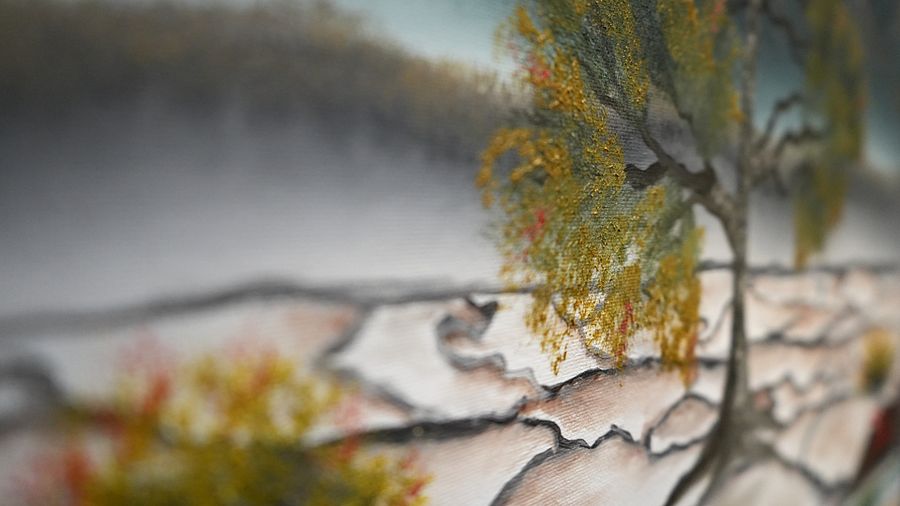The Enduring Tree (Original) 16x20 Canvas product image (3)