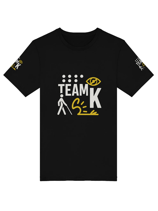 TEAM K Inclusion 2