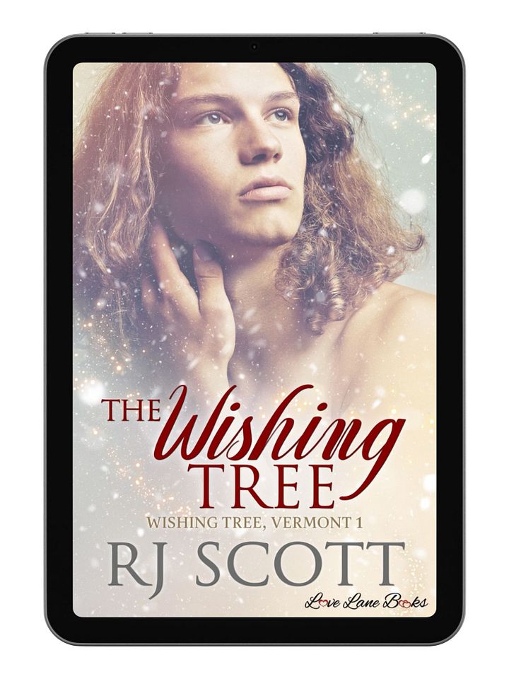 The Wishing Tree (Wishing Tree, Vermont 1) - eBook product image (1)