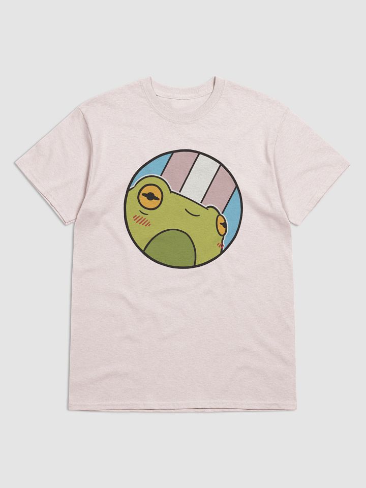 t-shirt : froge transgender product image (1)
