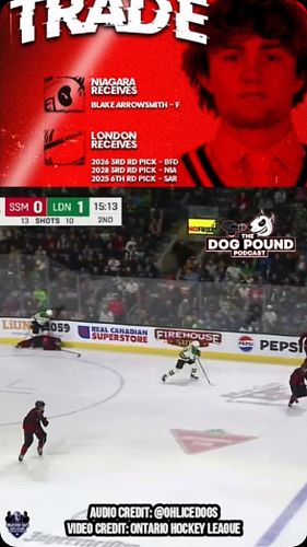Niagara IceDogs fans should be intrigued by the possibility of what Blake Arrowsmith could add to this young forward group, h...