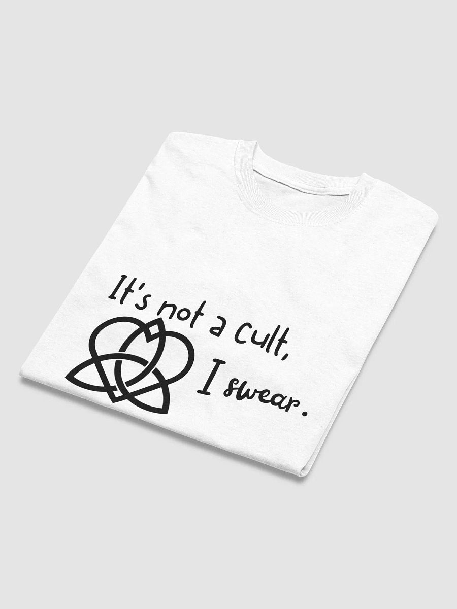 It's Not a Cult I Swear T-Shirt product image (46)