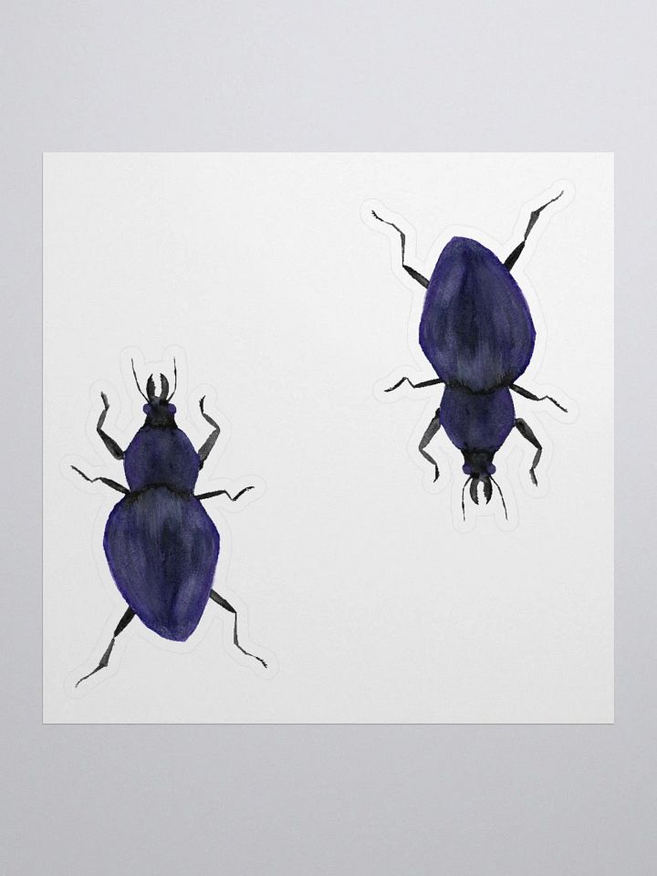 Rough Violet Ground Beetle Sticker (x2) product image (1)