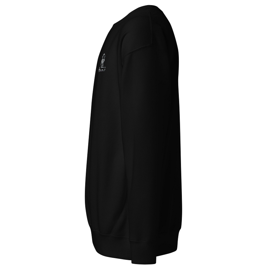 Astro Unisex Premium Sweatshirt - Exclusive Astronaut Design - Heavyweight 100% Cotton product image (2)