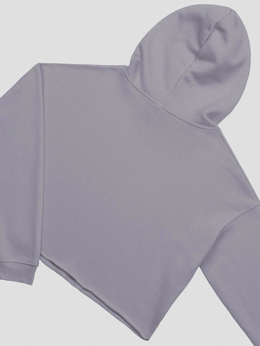 JUST FORGET IT Crop Hoodie product image (7)