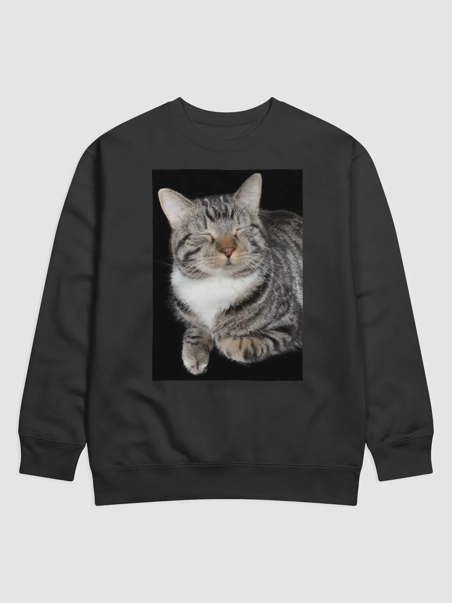 Scooter Cat Sweatshirt product image (1)
