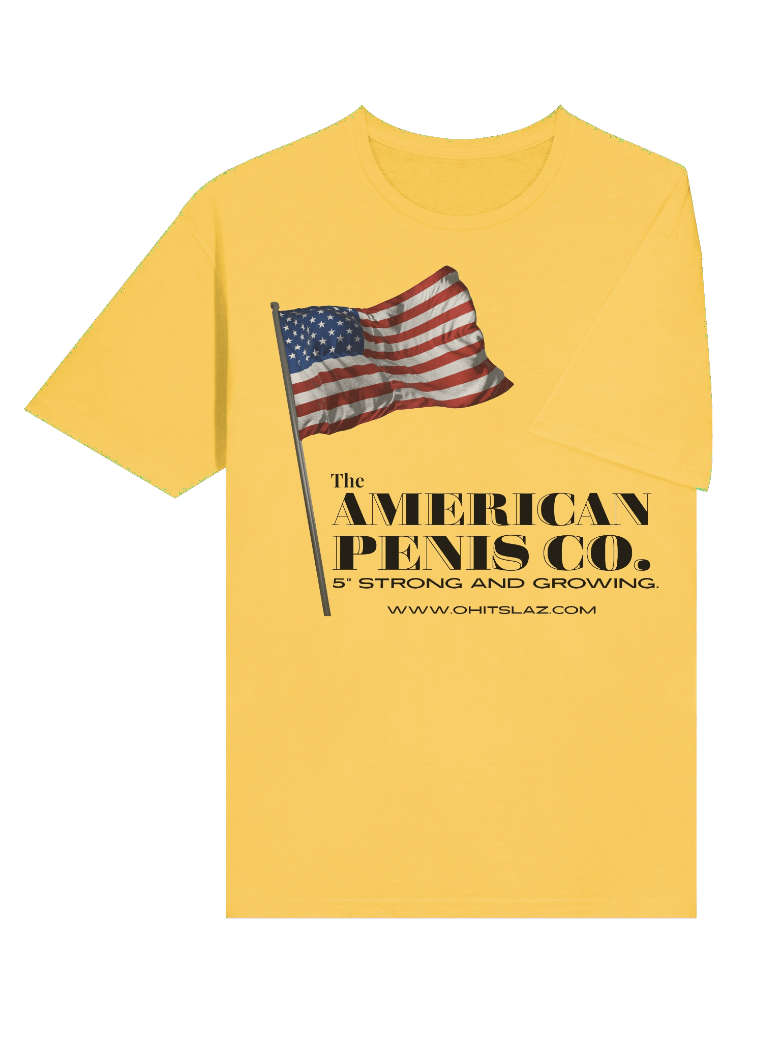 American Pns Co. product image (3)