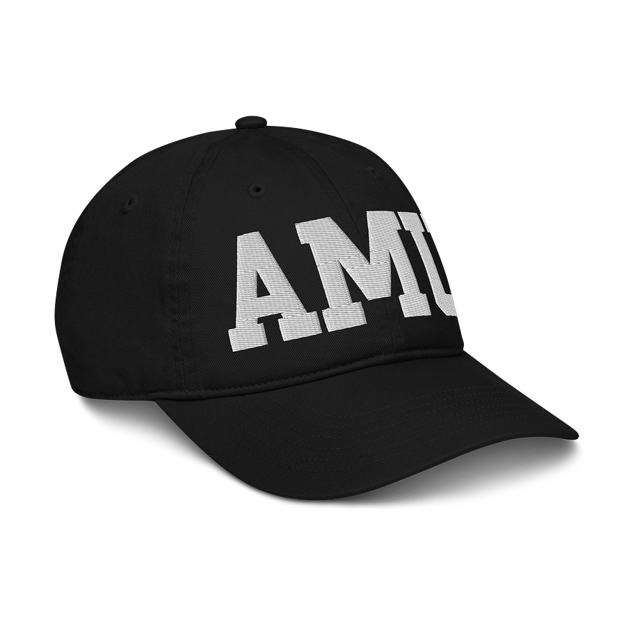 AMU Organic Dad Hat by Econscious product image (6)