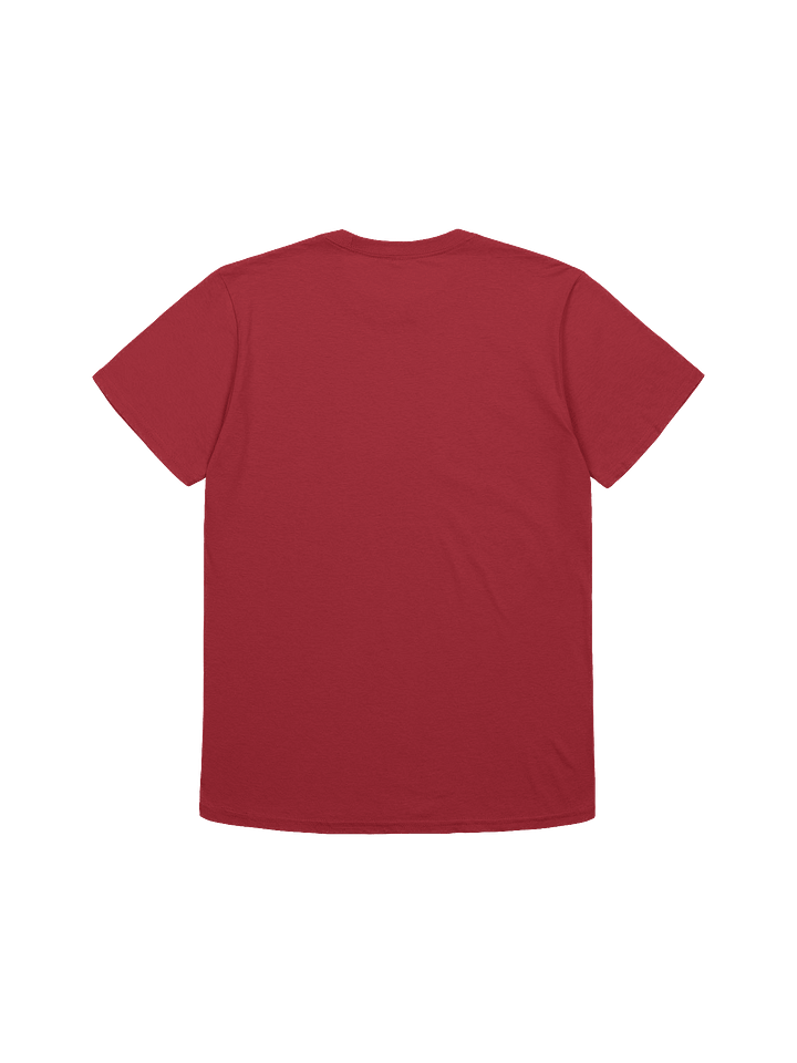 Professional Reels Analyst T-Shirt product image (5)
