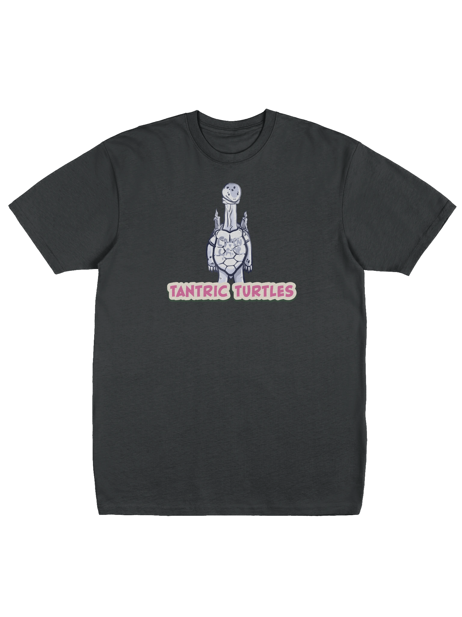 Silver Tantric Turtles tshirt product image (1)