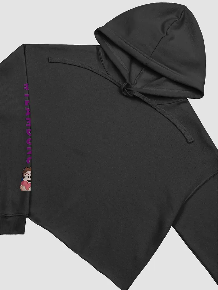 #TeamDunc Crop Hoodie product image (1)
