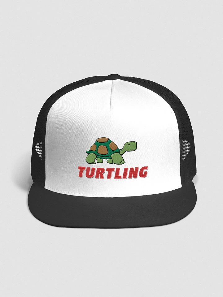 Turtling Cap product image (1)