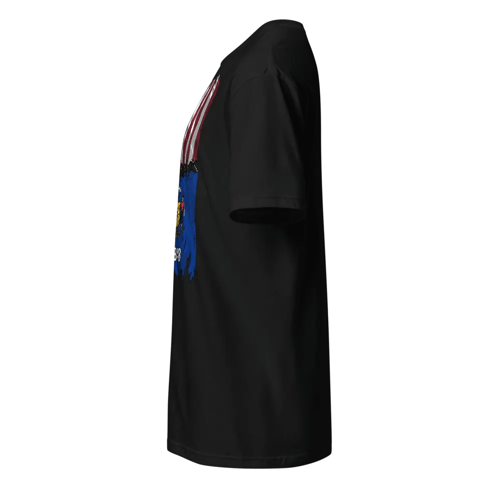 Wisconsin Stitch Flag USA product image (4)