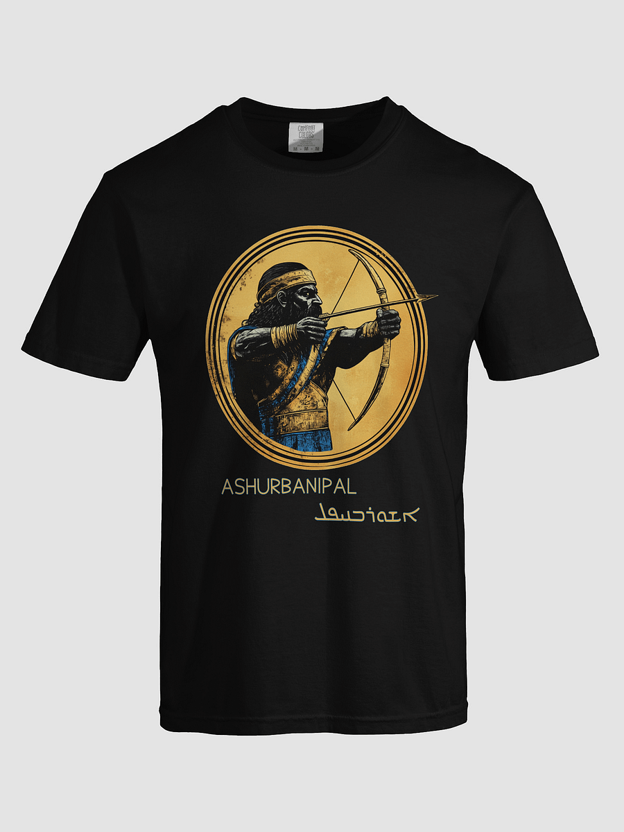 Ashurbanipal product image (28)