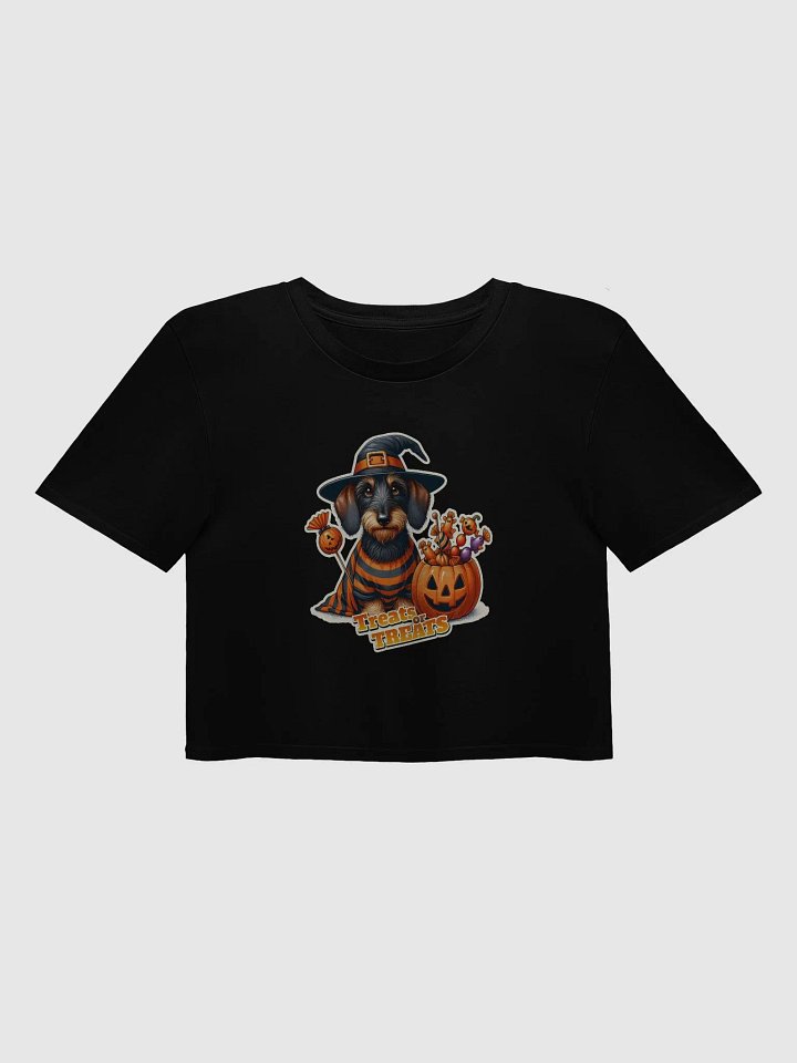 Dachshund Treat Halloween Top product image (1)