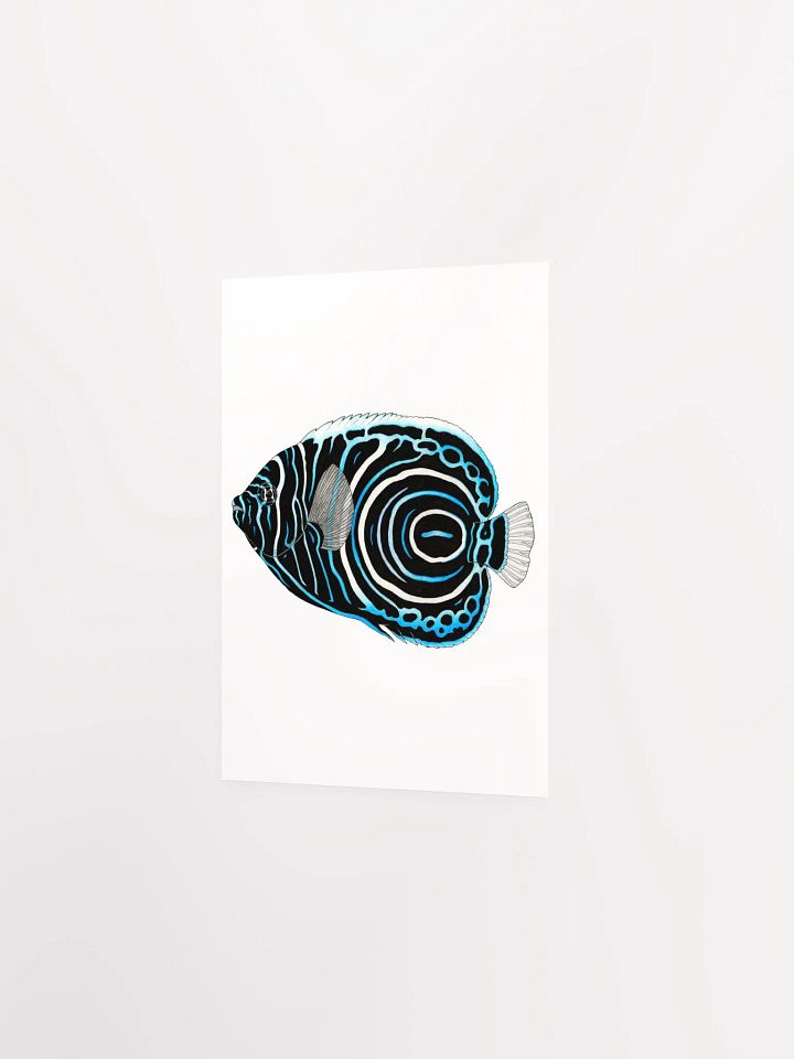 Angelfish print product image (2)