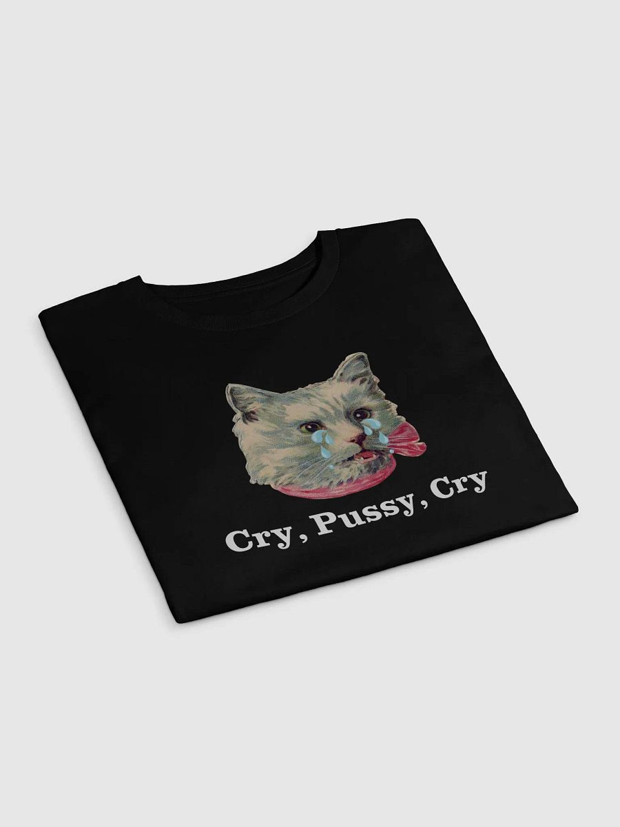 Crying Kitty product image (12)