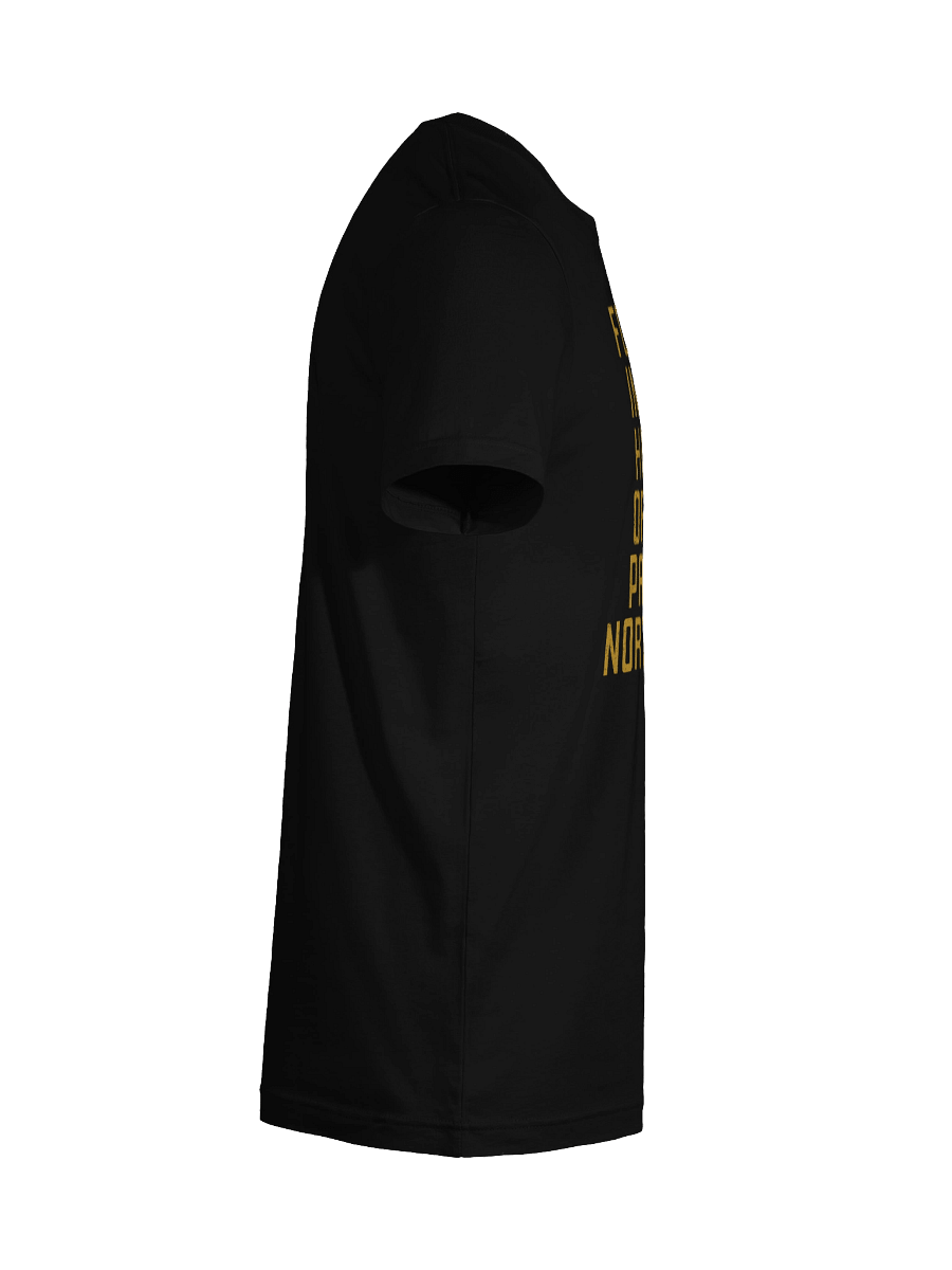 Forged in the PNW T-Shirt product image (105)