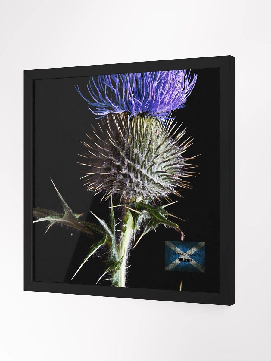 Scottish Romantics Framed Photo product image (3)