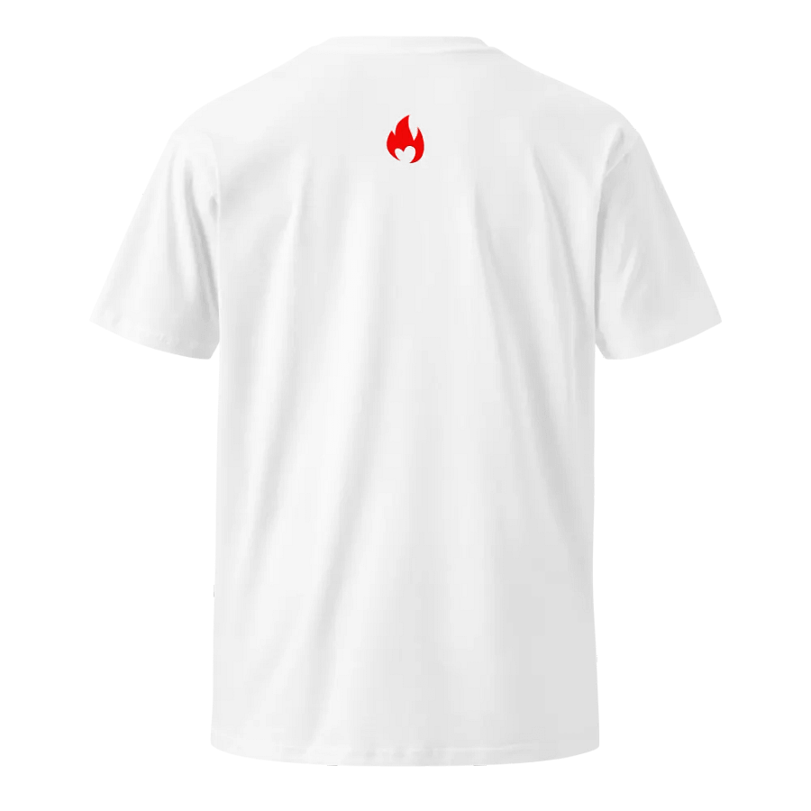 DIVINE Masculine ‘AI’ AS Colour Premium Tee product image (2)