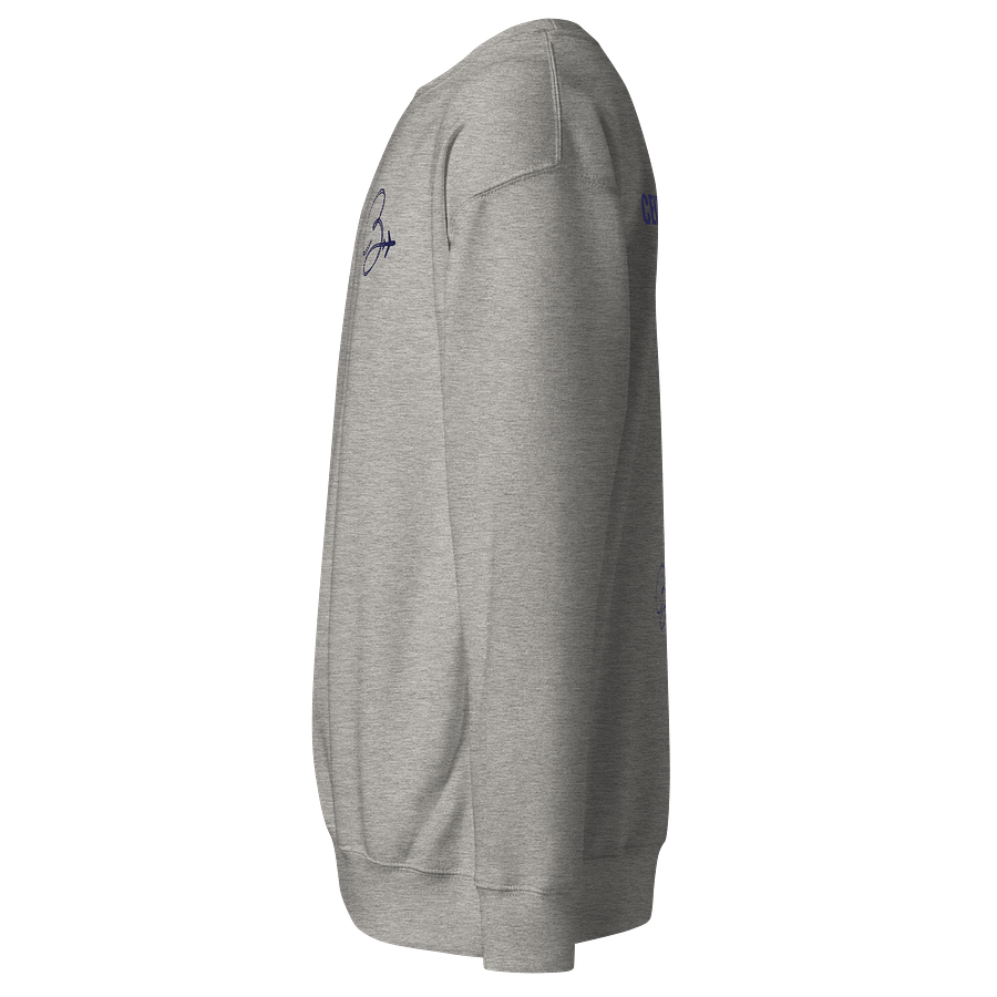 Central USA CB Logo Sweatshirt - Light Colours product image (8)