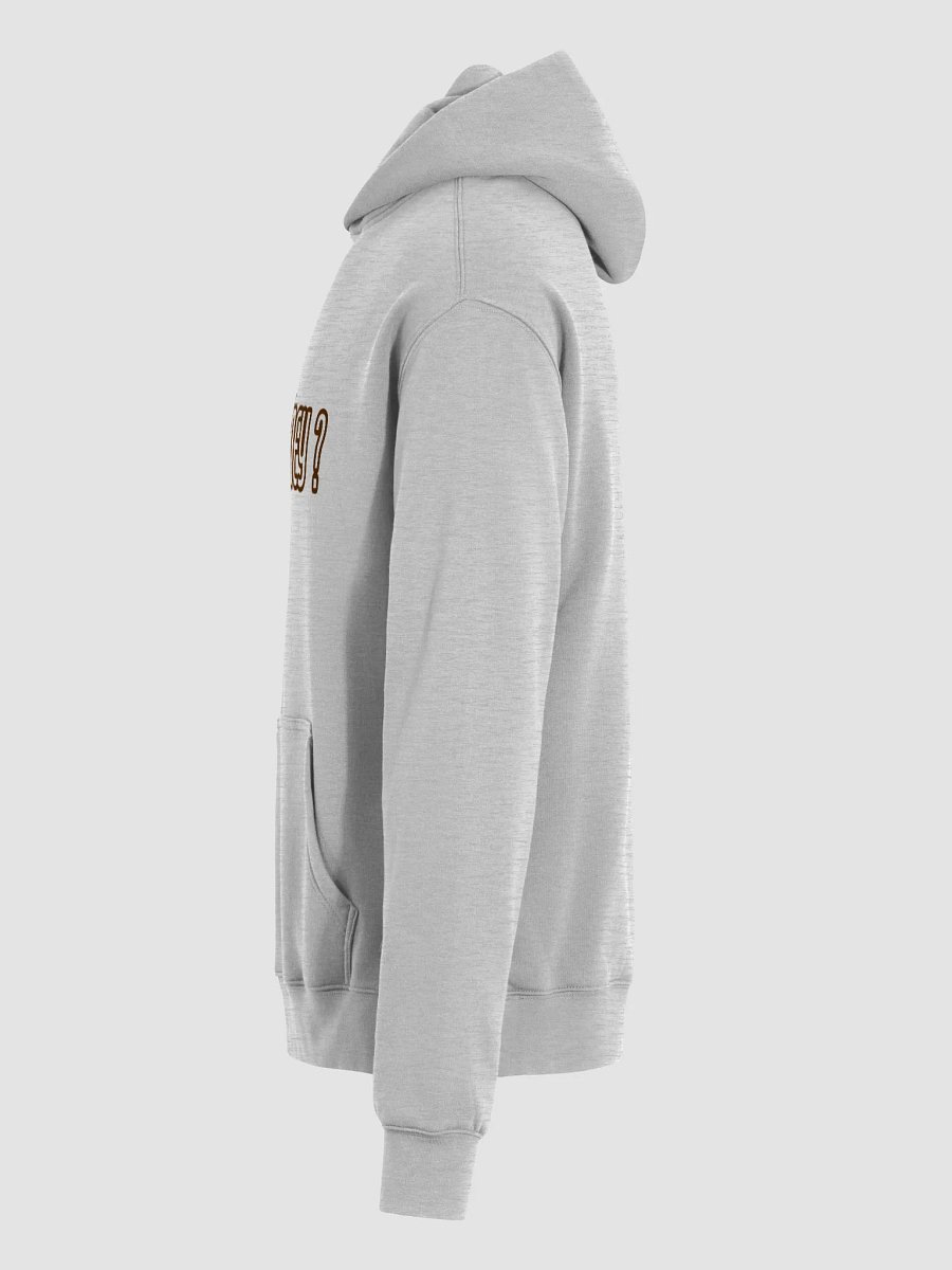 Got Honey Unisex Premium Oversized Hoodie product image (27)