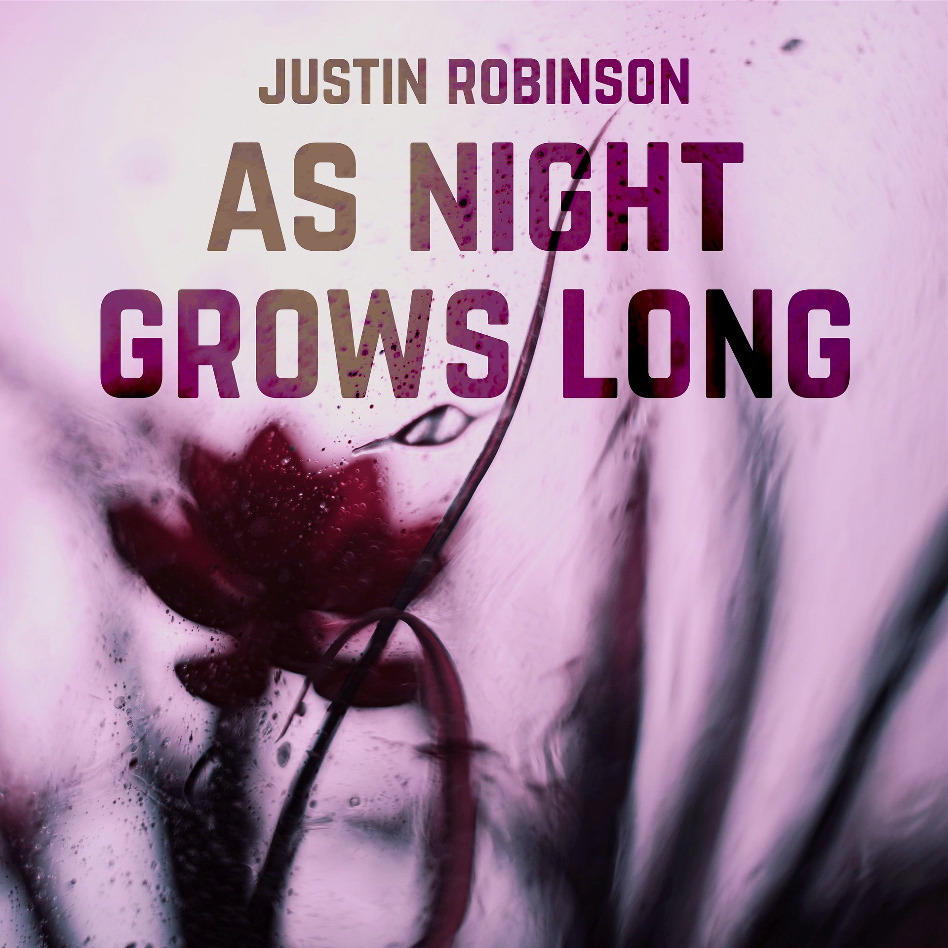 As Night Grows Long product image (1)