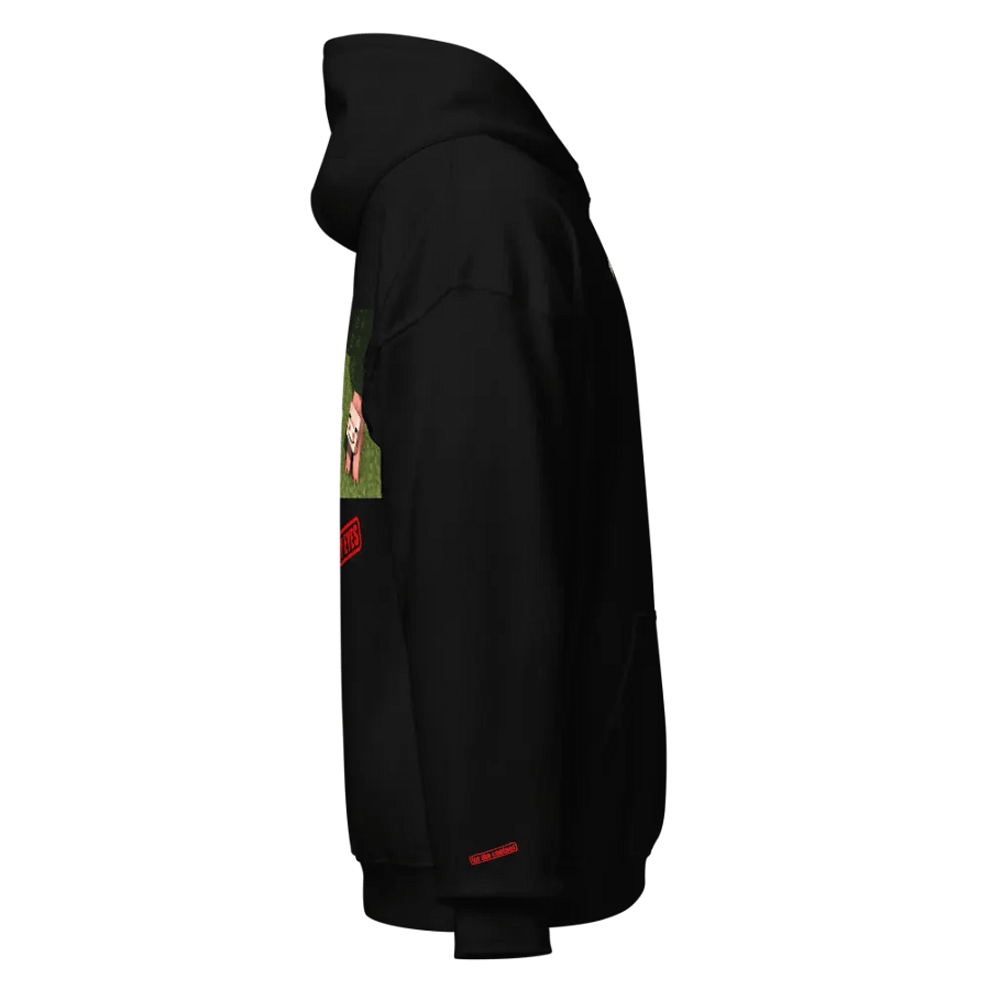 HOODIE product image (4)