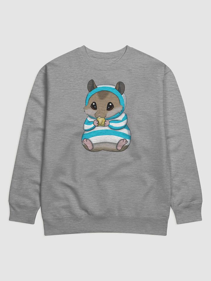 Hampoogie Longsleeve product image (5)