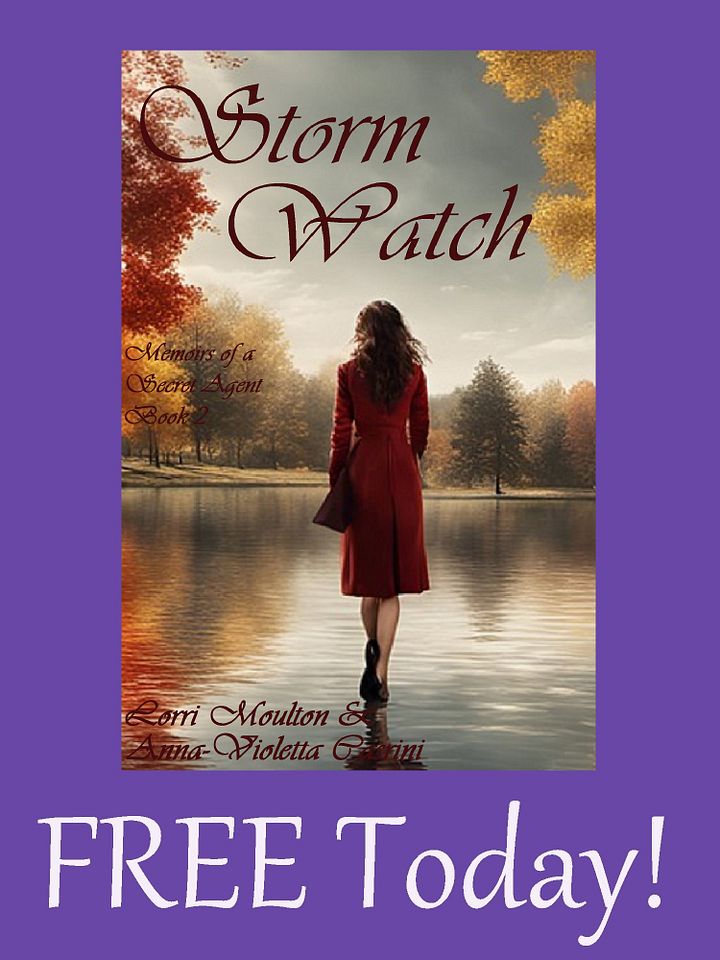 Storm Watch EBOOK - FREE TODAY! product image (1)