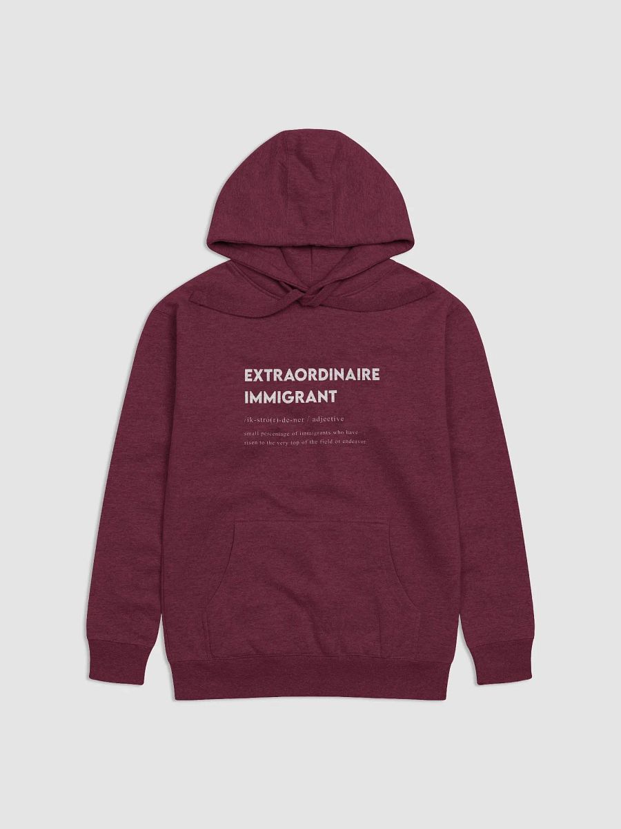 Extraordinaire Immigrant Hoodie – Celebrate Excellence product image (2)