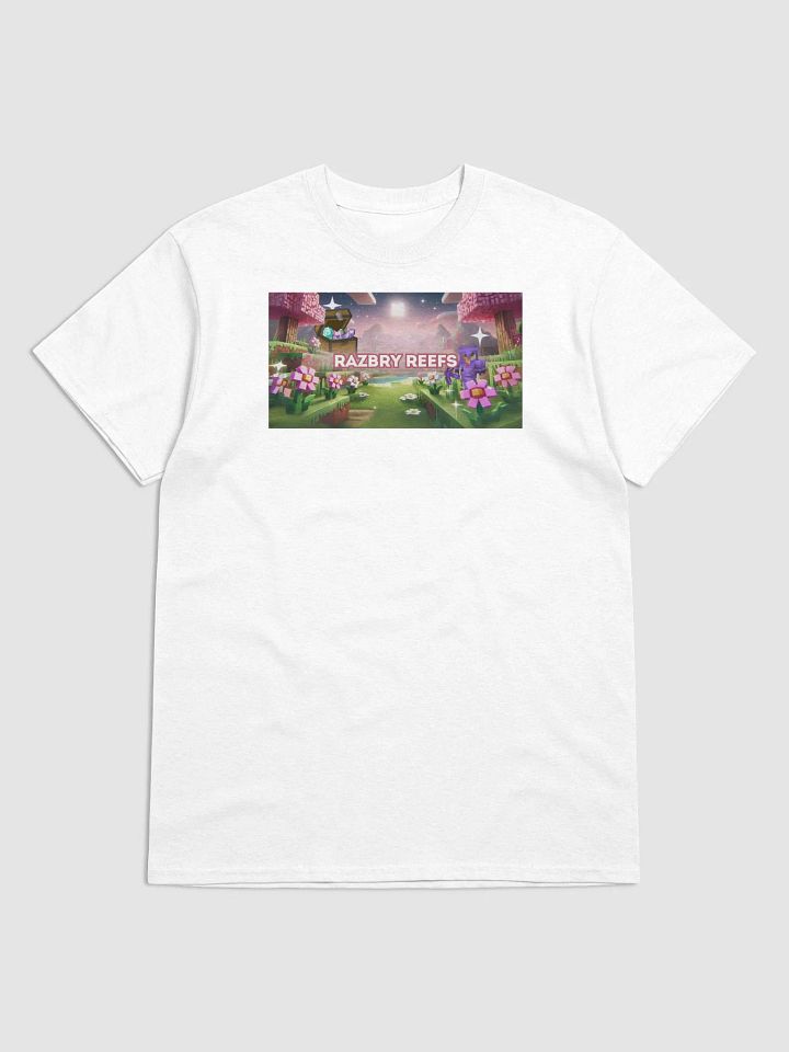 Razbry Reefs Dreamscape Tee product image (3)