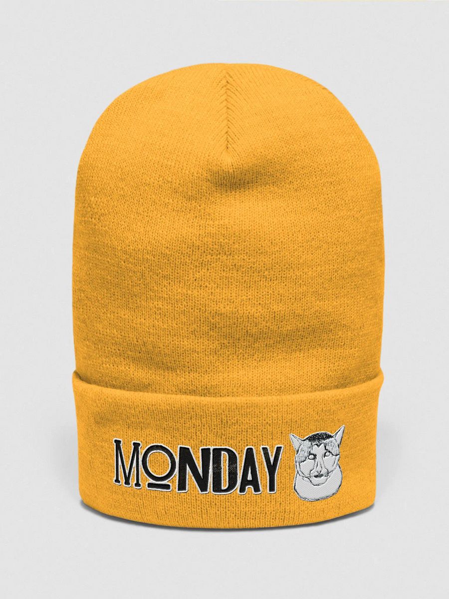 Monday Cat Cuffed Beanie product image (1)