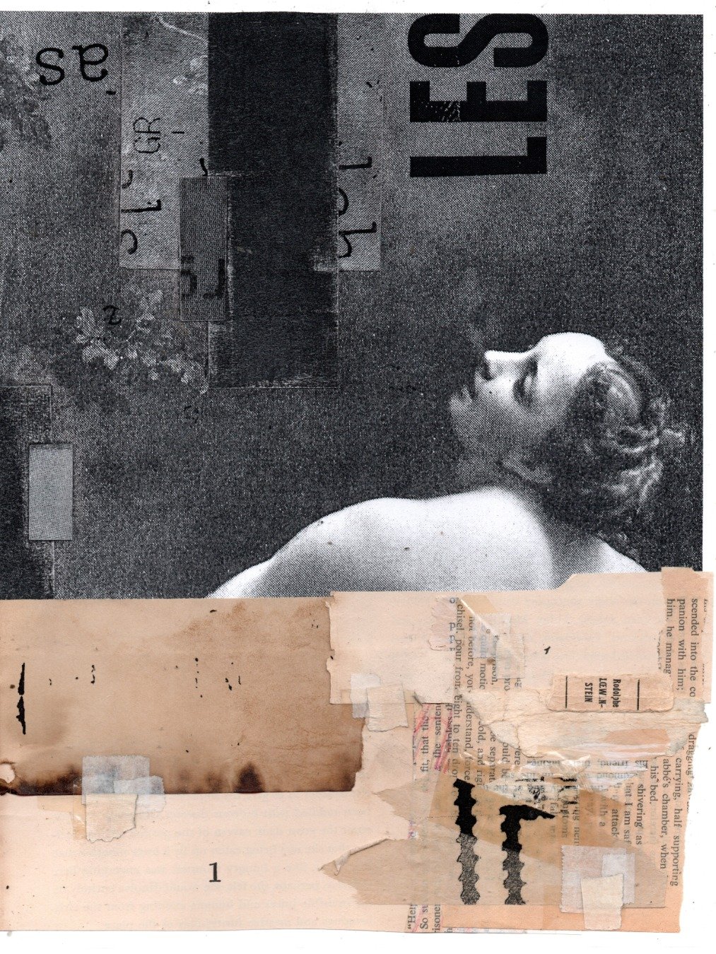 consciousness in plain view product image (1)