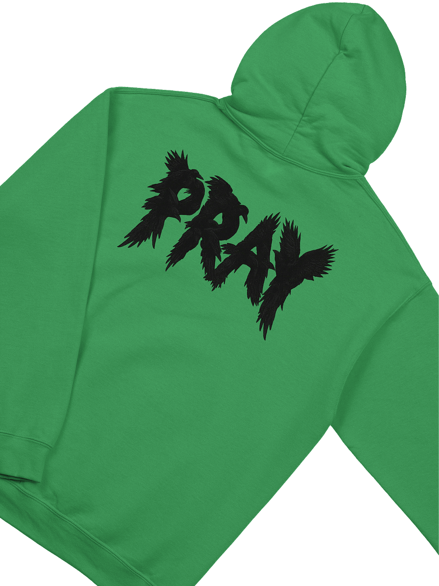 Birds Of Pray Hoodie product image (4)
