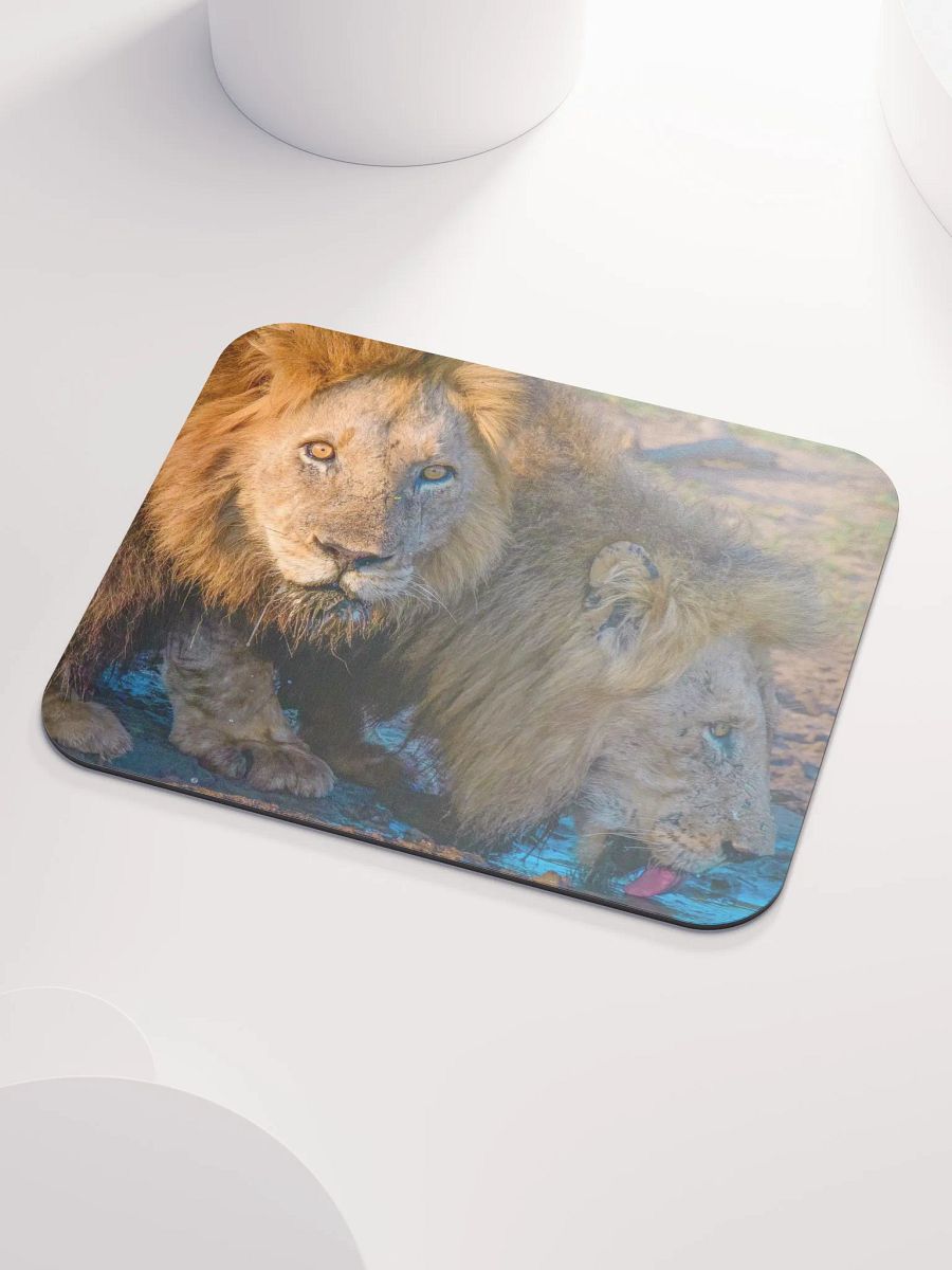 Unique mouse pad with two male lions from Kruger Park product image (3)
