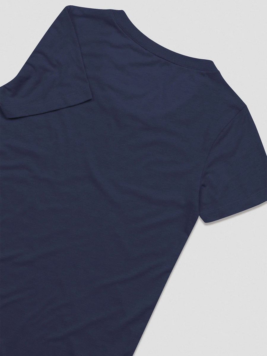 Fancy College T-Shirt (Women's Triblend) product image (8)