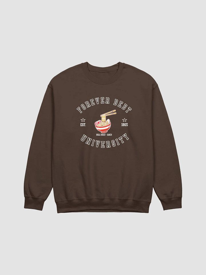 Forever Debt University - on a Ramen Budget Sweatshirt product image (4)