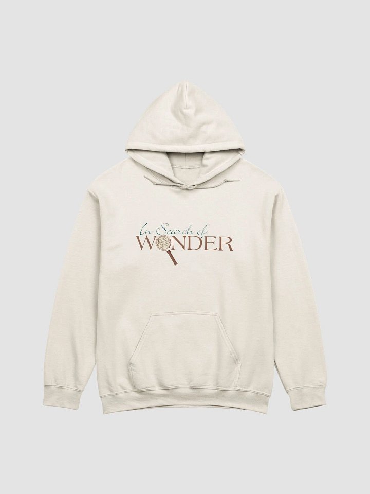 In Search of Wonder Hoodie product image (1)