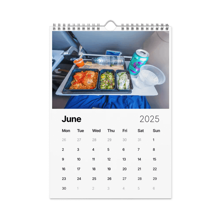 2025 Wall Calendar - Best Of: Airplane Food - (A3 or A4) product image (2)