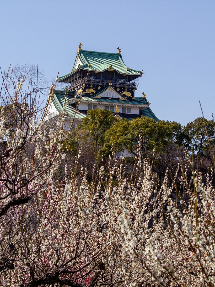 THE ONLY GUIDE YOU NEED TO TRAVEL OSAKA: ESSENTIAL TIPS, MUST VISIT LANDMARKS & HIDDEN GEMS! product image (4)